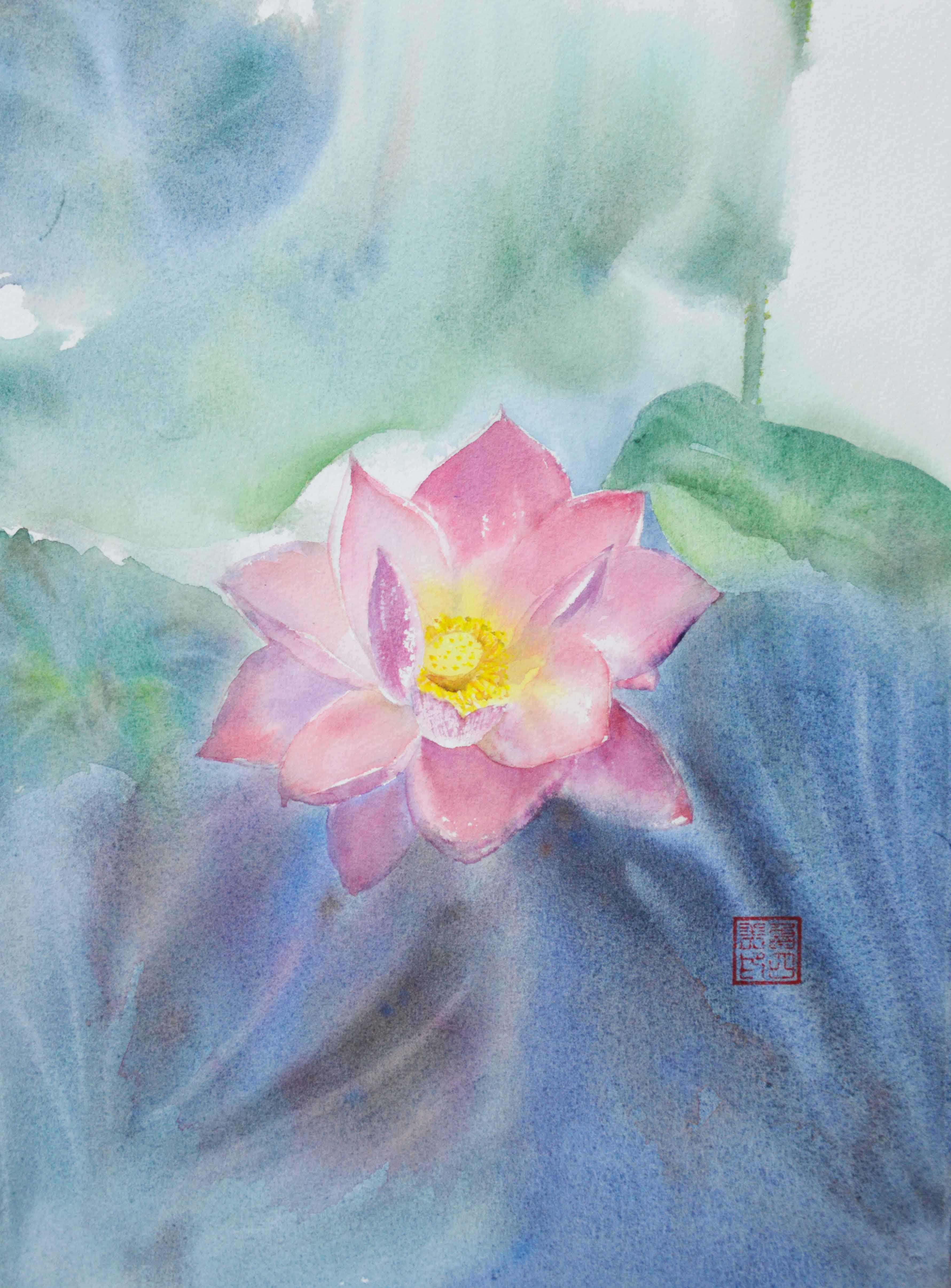 Lotus in Full Bloom